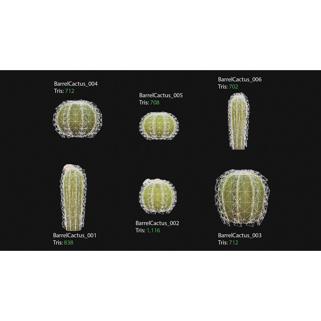Barrel Cactus 3D Model – Low Poly Stylized Game Asset, FBX - View 3