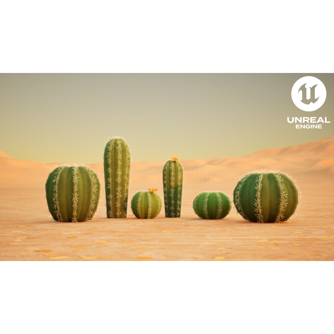 Barrel Cactus 3D Model – Low Poly Stylized Game Asset, FBX - View 4