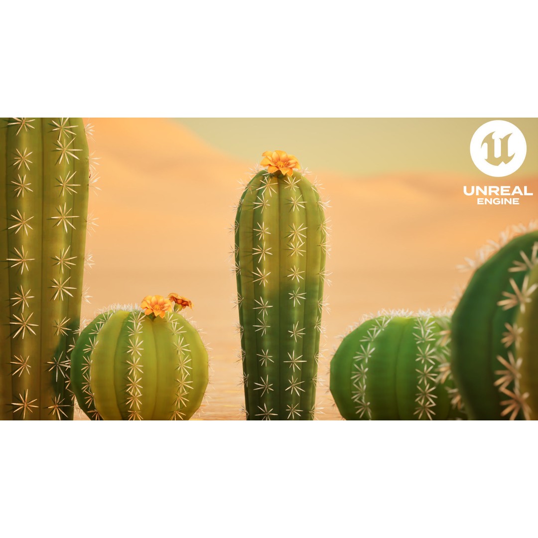 Barrel Cactus 3D Model – Low Poly Stylized Game Asset, FBX - View 5