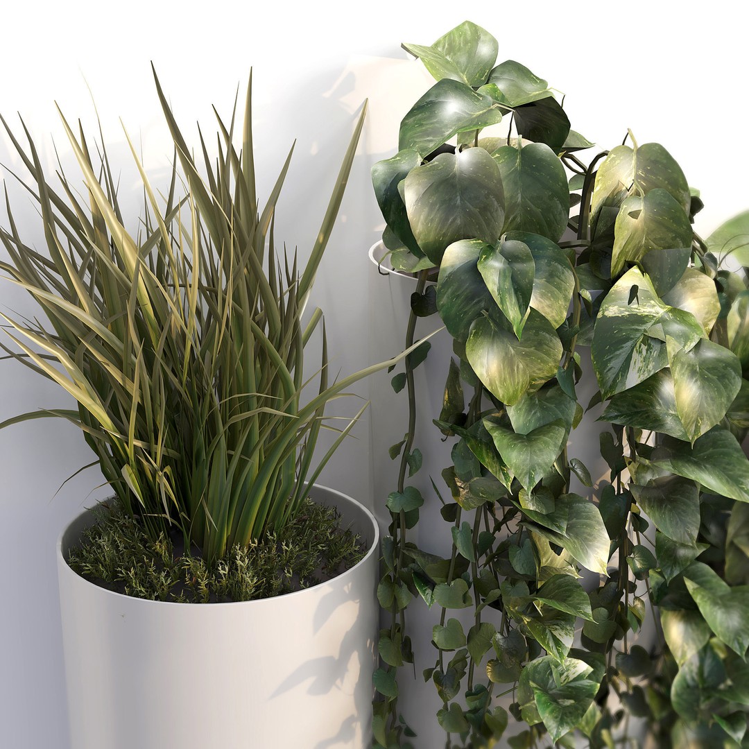 Decorative Plant Cylinders 3D Model – High-Resolution Indoor Decor, OBJ & FBX - View 6