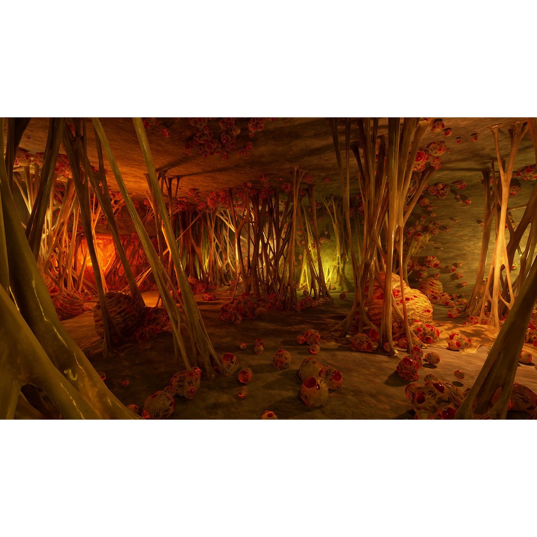 Biological Webs 3D Model – Low Poly Game Asset, PBR Textures, FBX - View 4