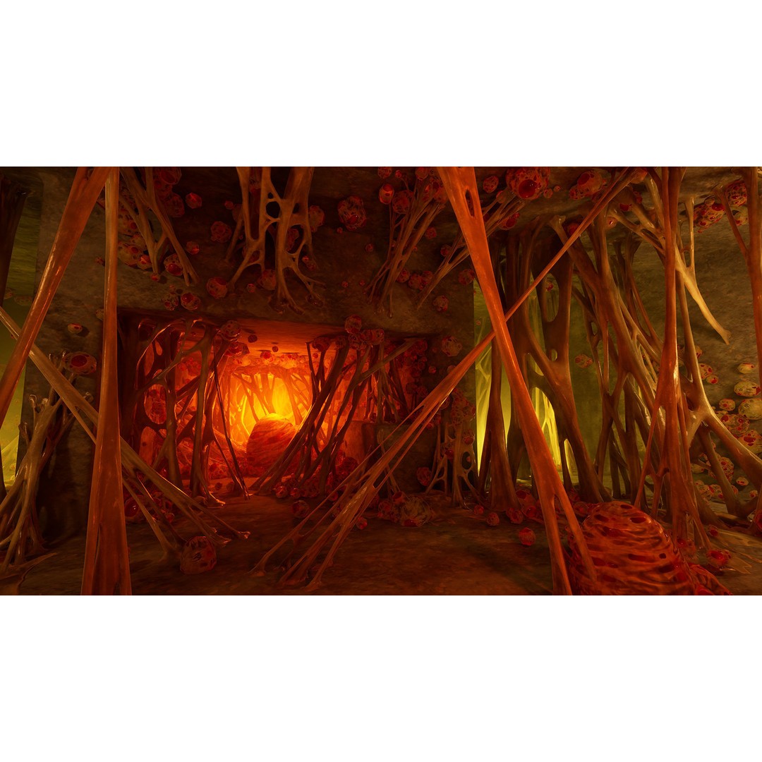 Biological Webs 3D Model – Low Poly Game Asset, PBR Textures, FBX - View 7