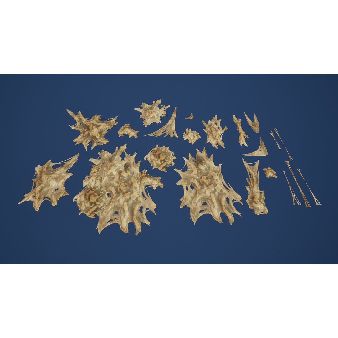 Biological Webs 3D Model – Low Poly Game Asset, PBR Textures, FBX - View 9