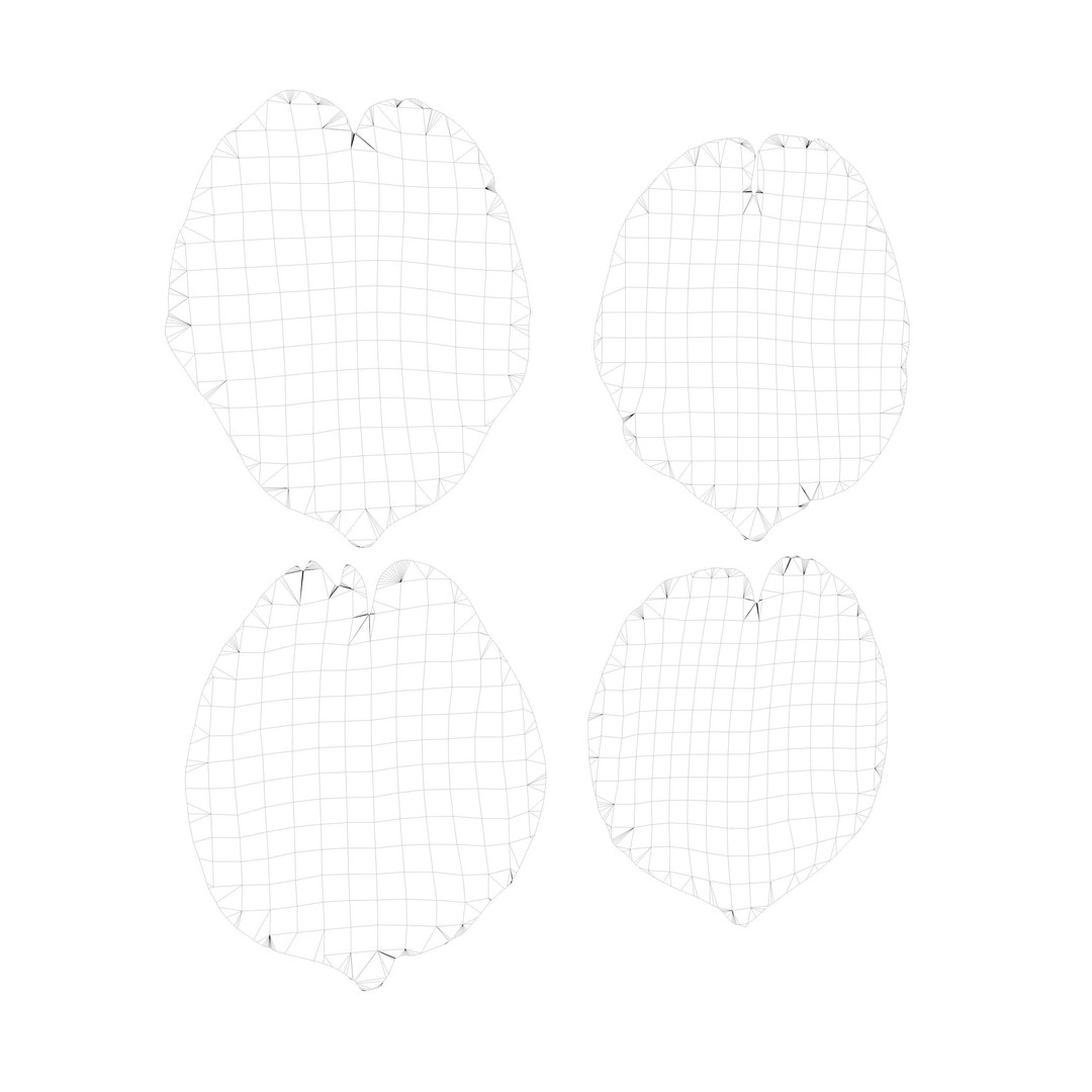 Flying Petals 3D Model – Low Poly Flower Asset, FBX, Game Ready - View 10