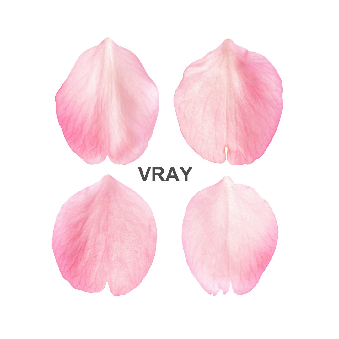 Flying Petals 3D Model – Low Poly Flower Asset, FBX, Game Ready - View 3