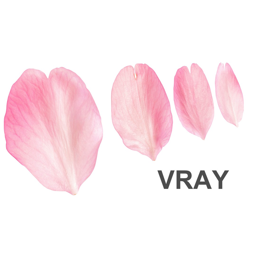 Flying Petals 3D Model – Low Poly Flower Asset, FBX, Game Ready - View 4