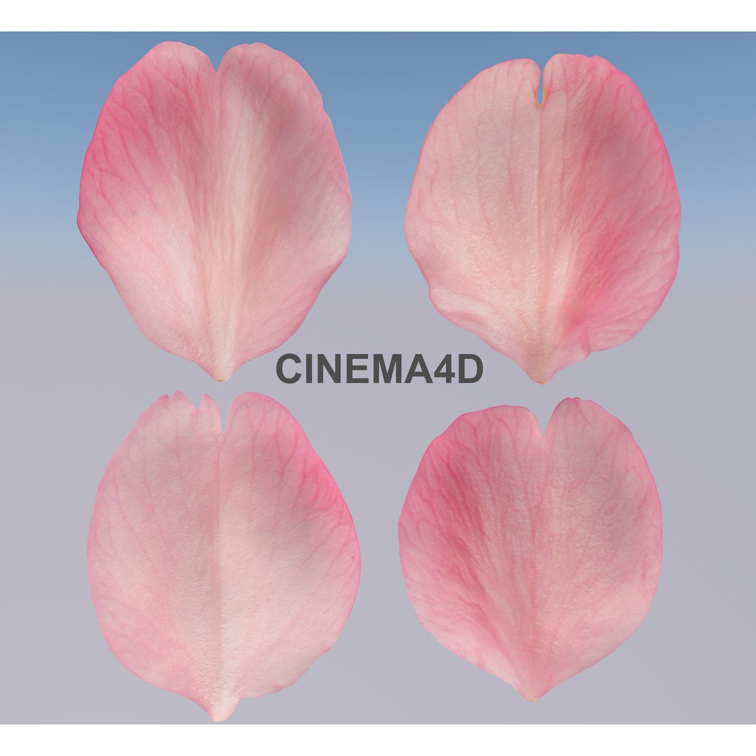 Flying Petals 3D Model – Low Poly Flower Asset, FBX, Game Ready - View 6