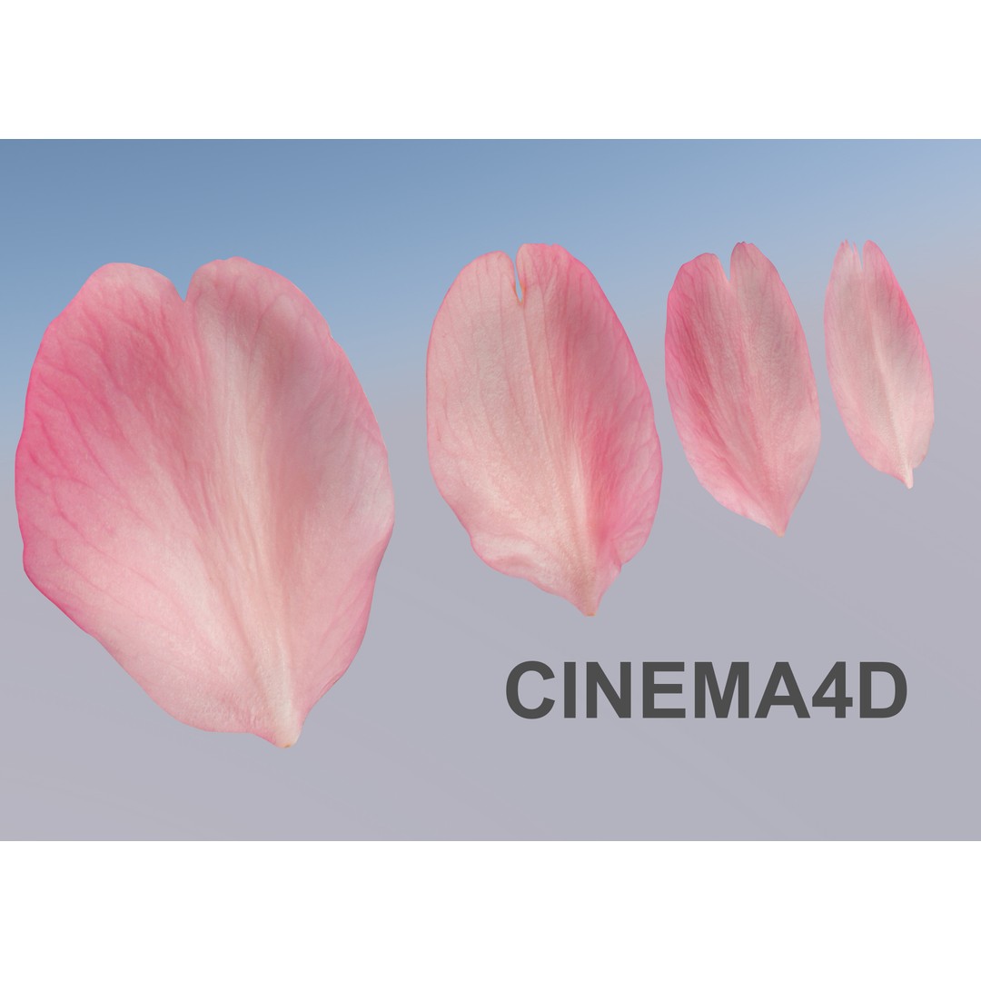 Flying Petals 3D Model – Low Poly Flower Asset, FBX, Game Ready - View 7