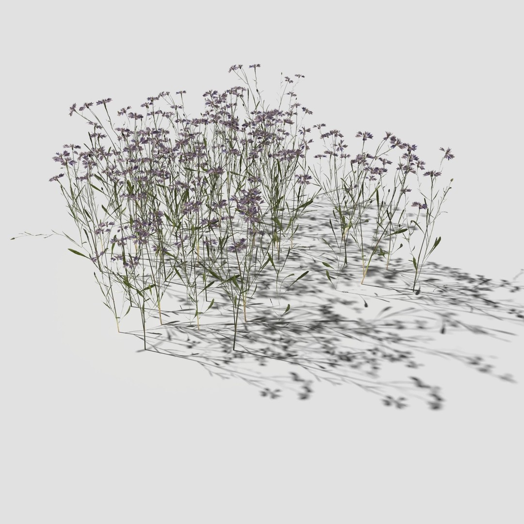 Cornflower Meadow Patch 3D Model – PBR Realistic Plant Asset, Blender, FBX, OBJ - View 13