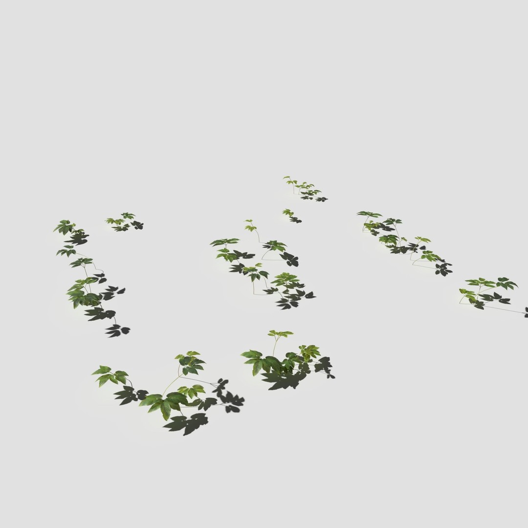 Cornflower Meadow Patch 3D Model – PBR Realistic Plant Asset, Blender, FBX, OBJ - View 15