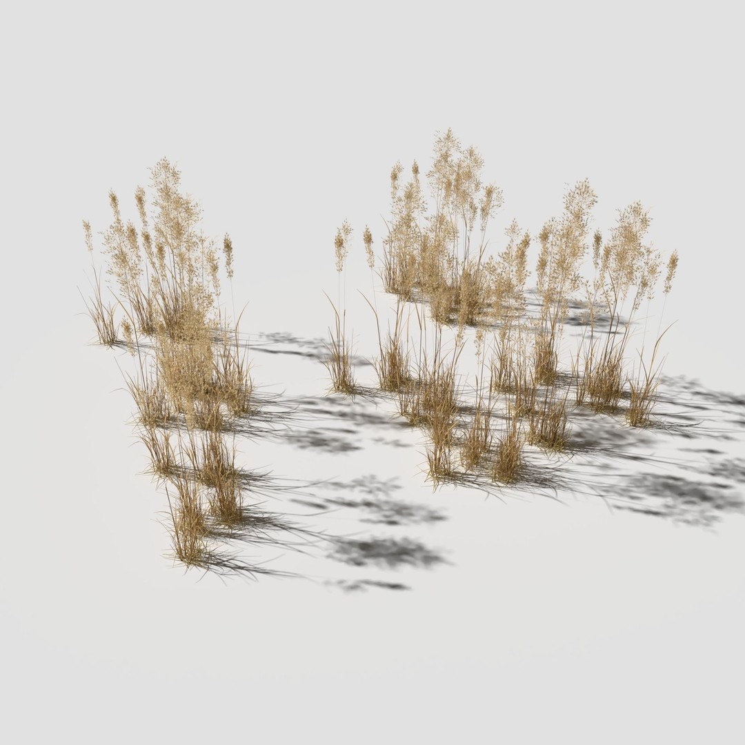 Cornflower Meadow Patch 3D Model – PBR Realistic Plant Asset, Blender, FBX, OBJ - View 17
