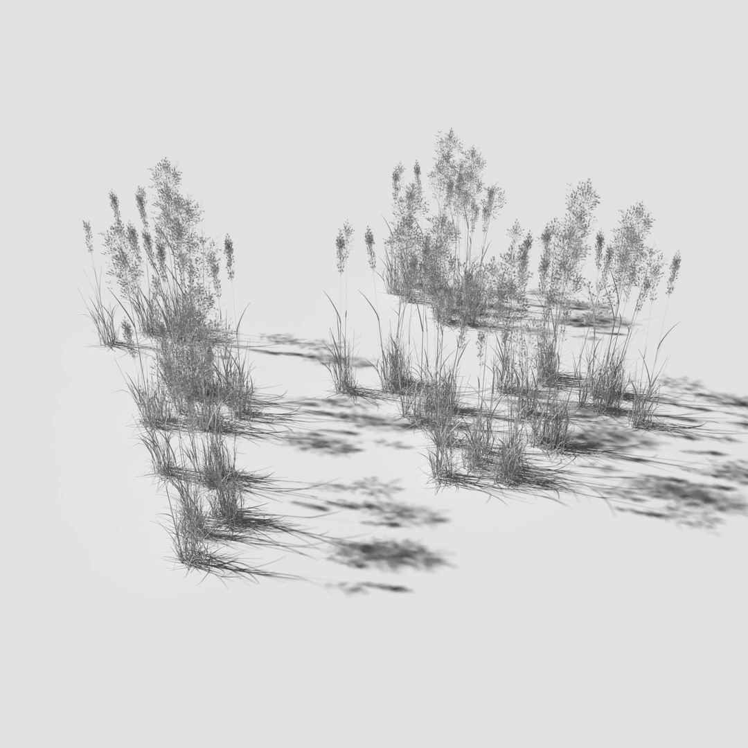 Cornflower Meadow Patch 3D Model – PBR Realistic Plant Asset, Blender, FBX, OBJ - View 18