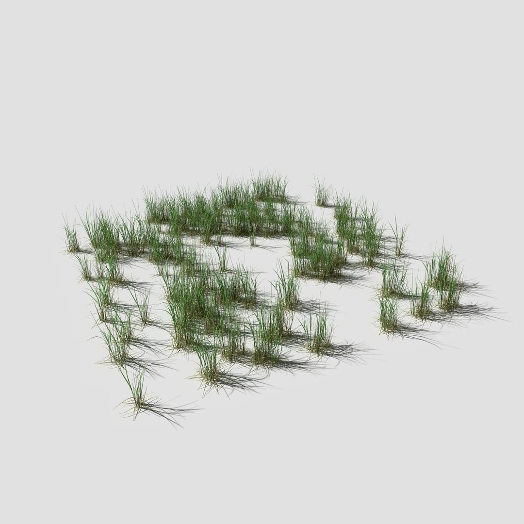 Cornflower Meadow Patch 3D Model – PBR Realistic Plant Asset, Blender, FBX, OBJ - View 19