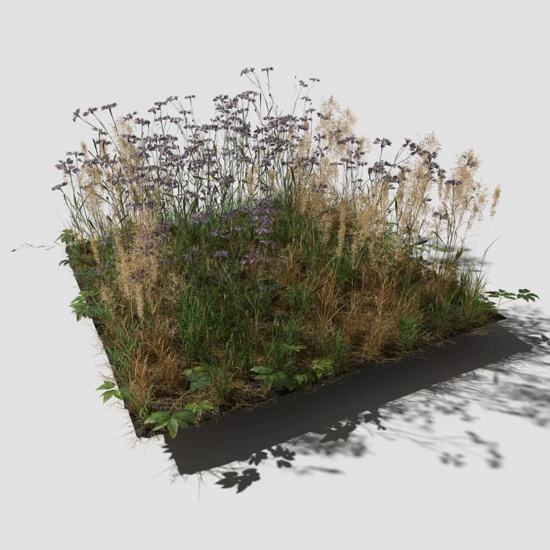 Cornflower Meadow Patch 3D Model – PBR Realistic Plant Asset, Blender, FBX, OBJ - View 2