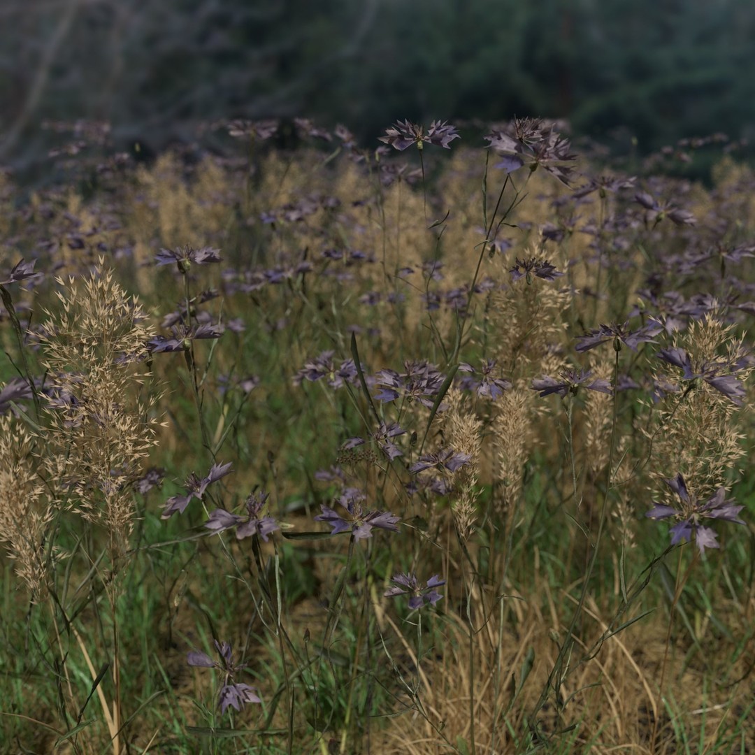 Cornflower Meadow Patch 3D Model – PBR Realistic Plant Asset, Blender, FBX, OBJ - View 3