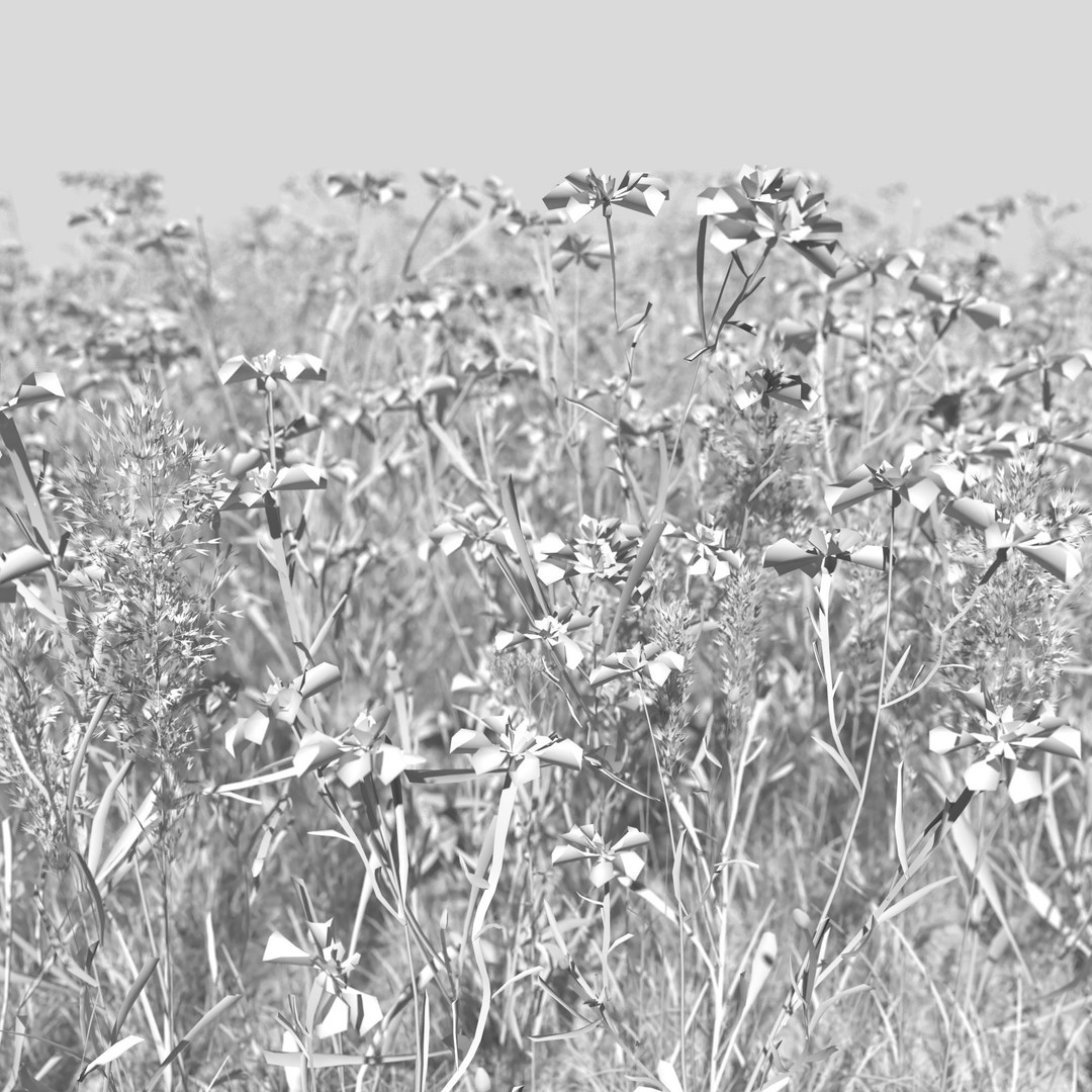 Cornflower Meadow Patch 3D Model – PBR Realistic Plant Asset, Blender, FBX, OBJ - View 4