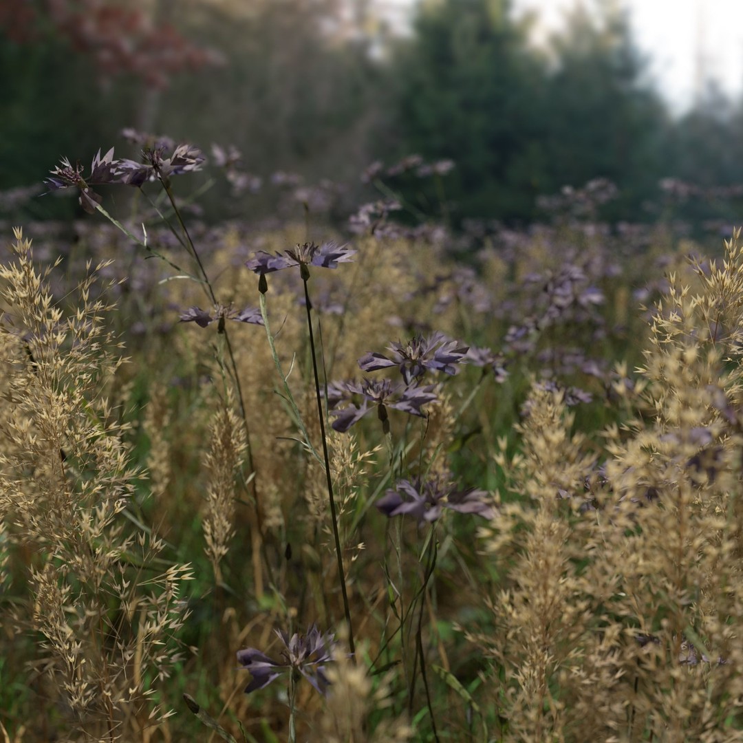 Cornflower Meadow Patch 3D Model – PBR Realistic Plant Asset, Blender, FBX, OBJ - View 5