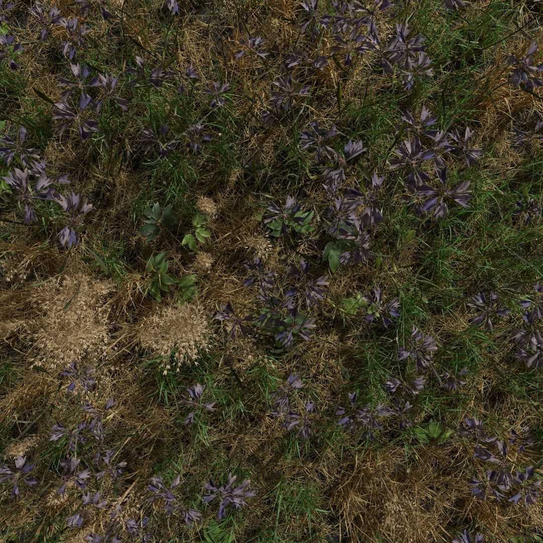 Cornflower Meadow Patch 3D Model – PBR Realistic Plant Asset, Blender, FBX, OBJ - View 7
