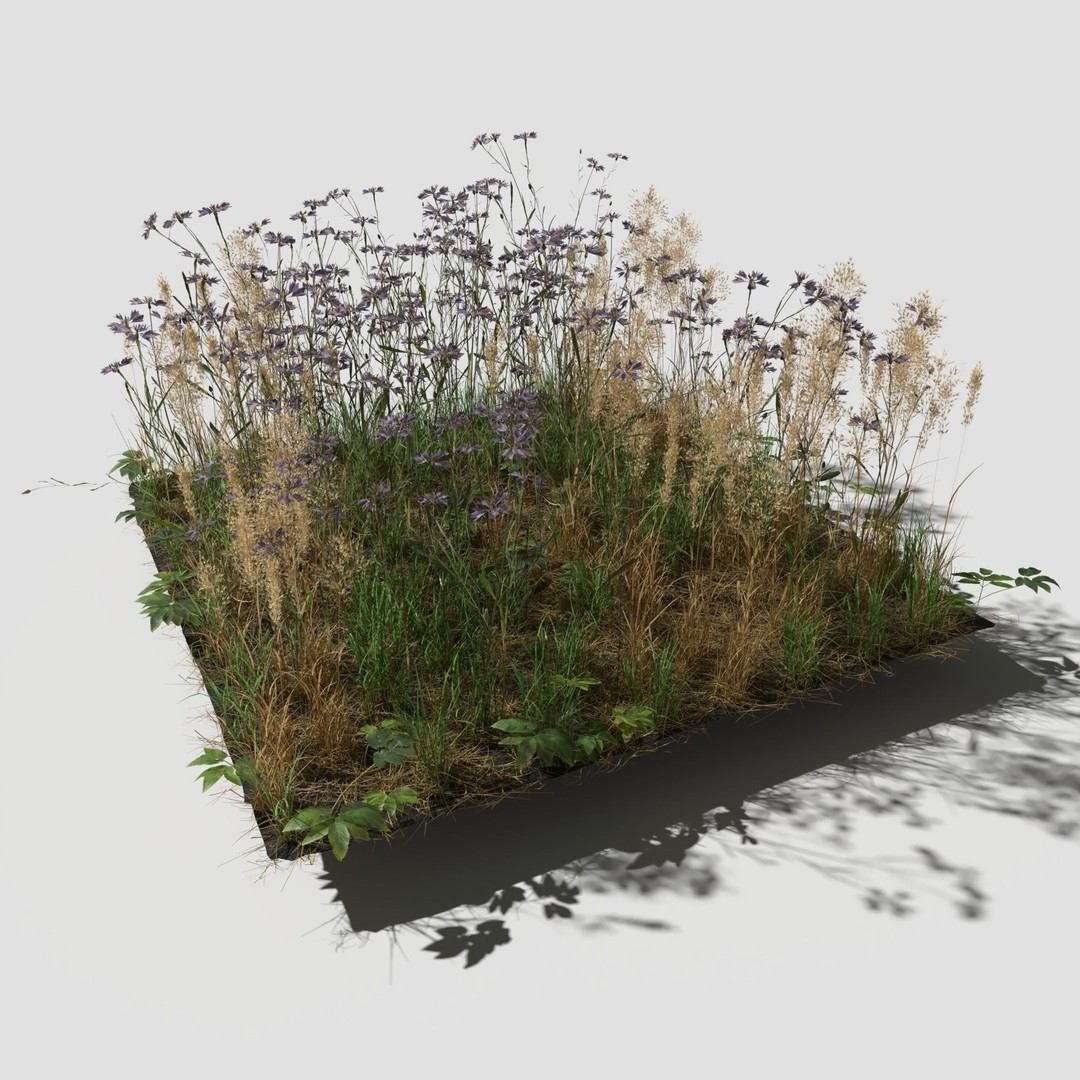 Cornflower Meadow Patch 3D Model – PBR Realistic Plant Asset, Blender, FBX, OBJ - View 9
