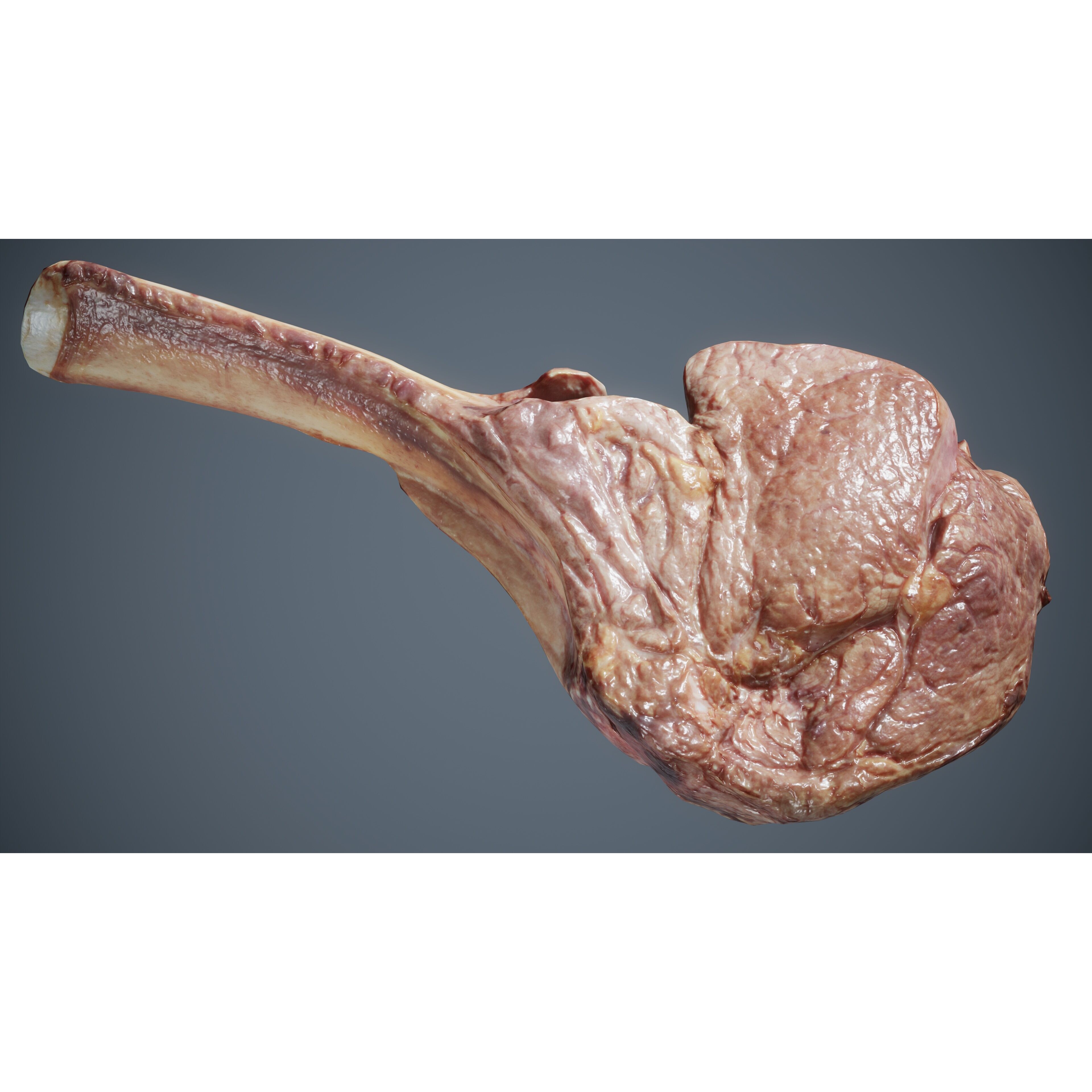 36 Meat and Chicken Portions - Low-Poly Game-Ready 3D Model - View 3