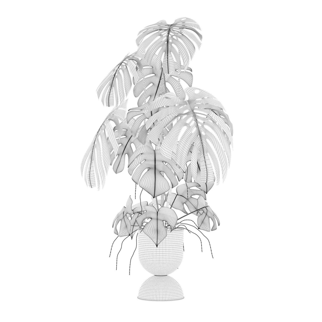 Monstera 3D Model – Tropical Pot Plant in Rattan Flower Pot - View 3