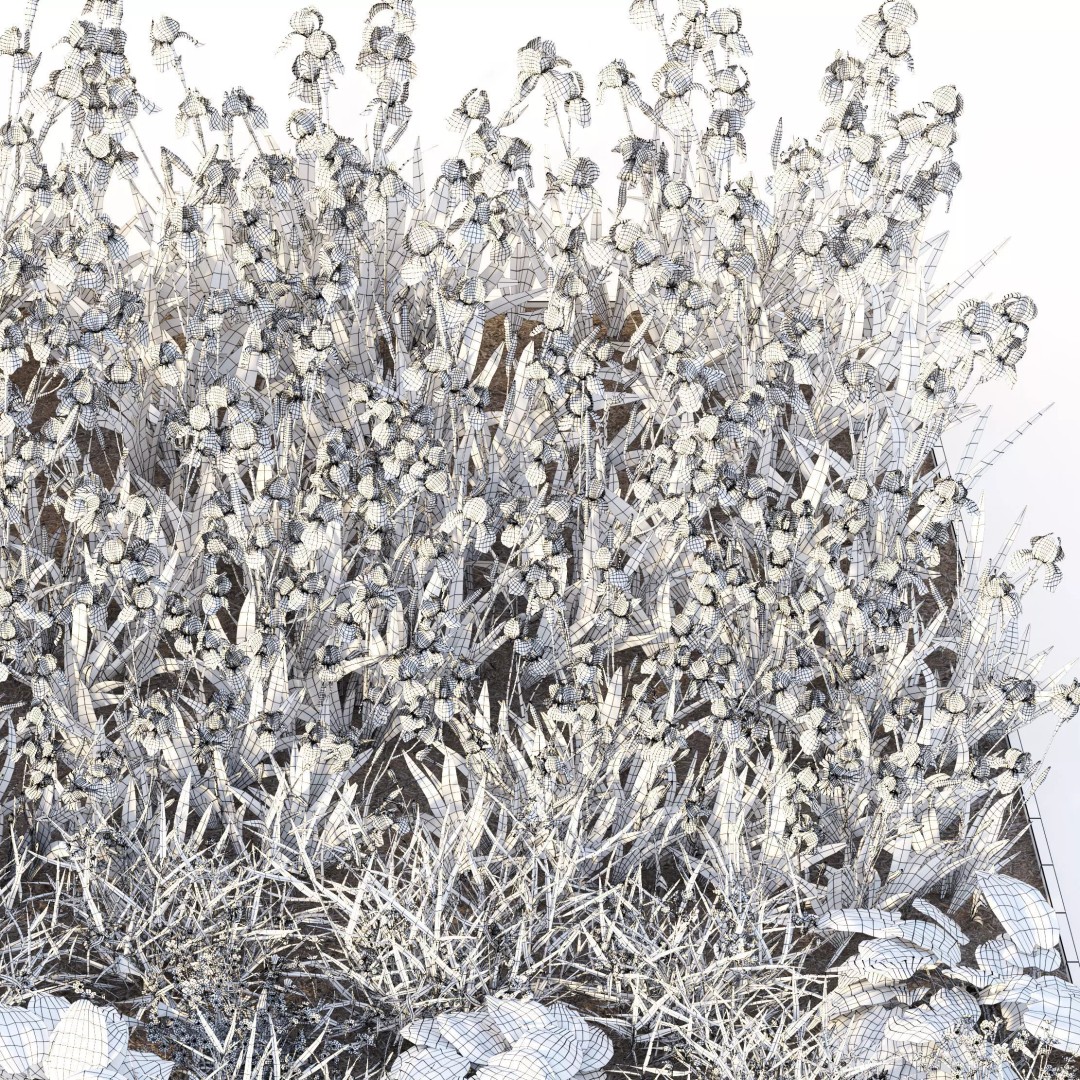 Flower Bed 3D Model – Realistic Garden Asset with PBR Textures - View 10