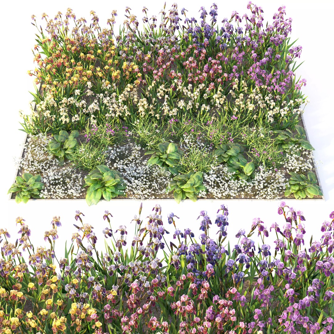 Flower Bed 3D Model – Realistic Garden Asset with PBR Textures - View 2