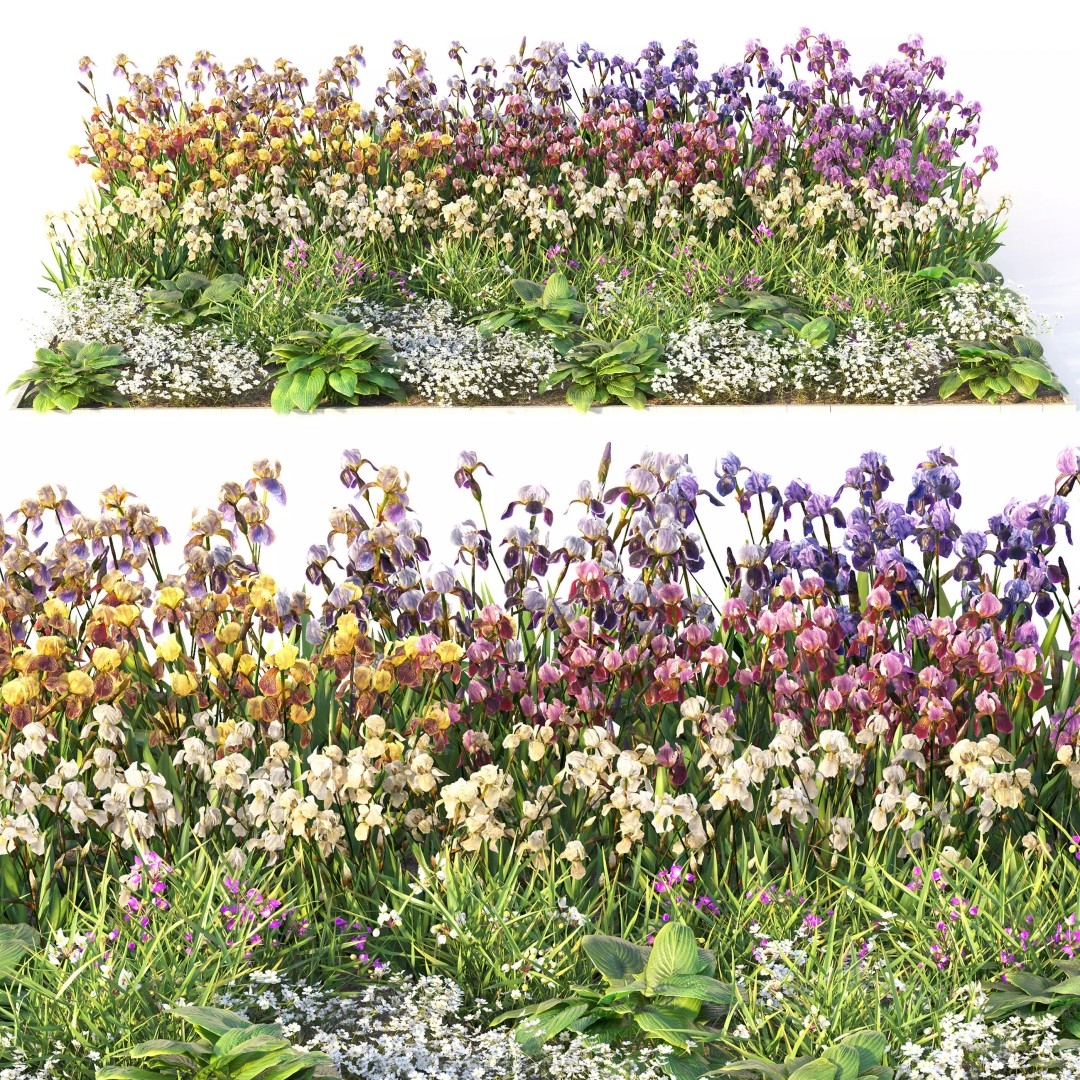 Flower Bed 3D Model – Realistic Garden Asset with PBR Textures - View 3