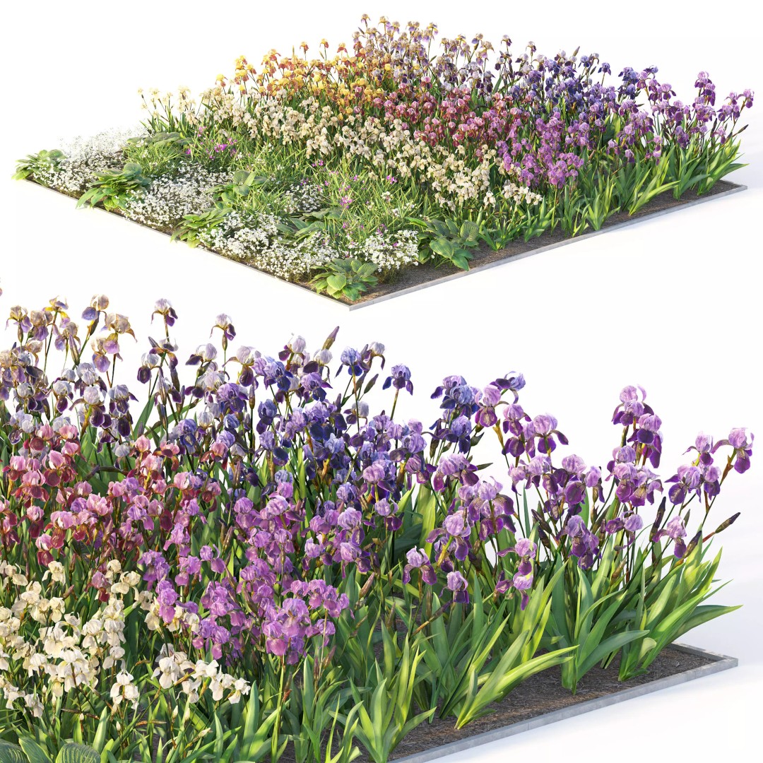 Flower Bed 3D Model – Realistic Garden Asset with PBR Textures - View 4