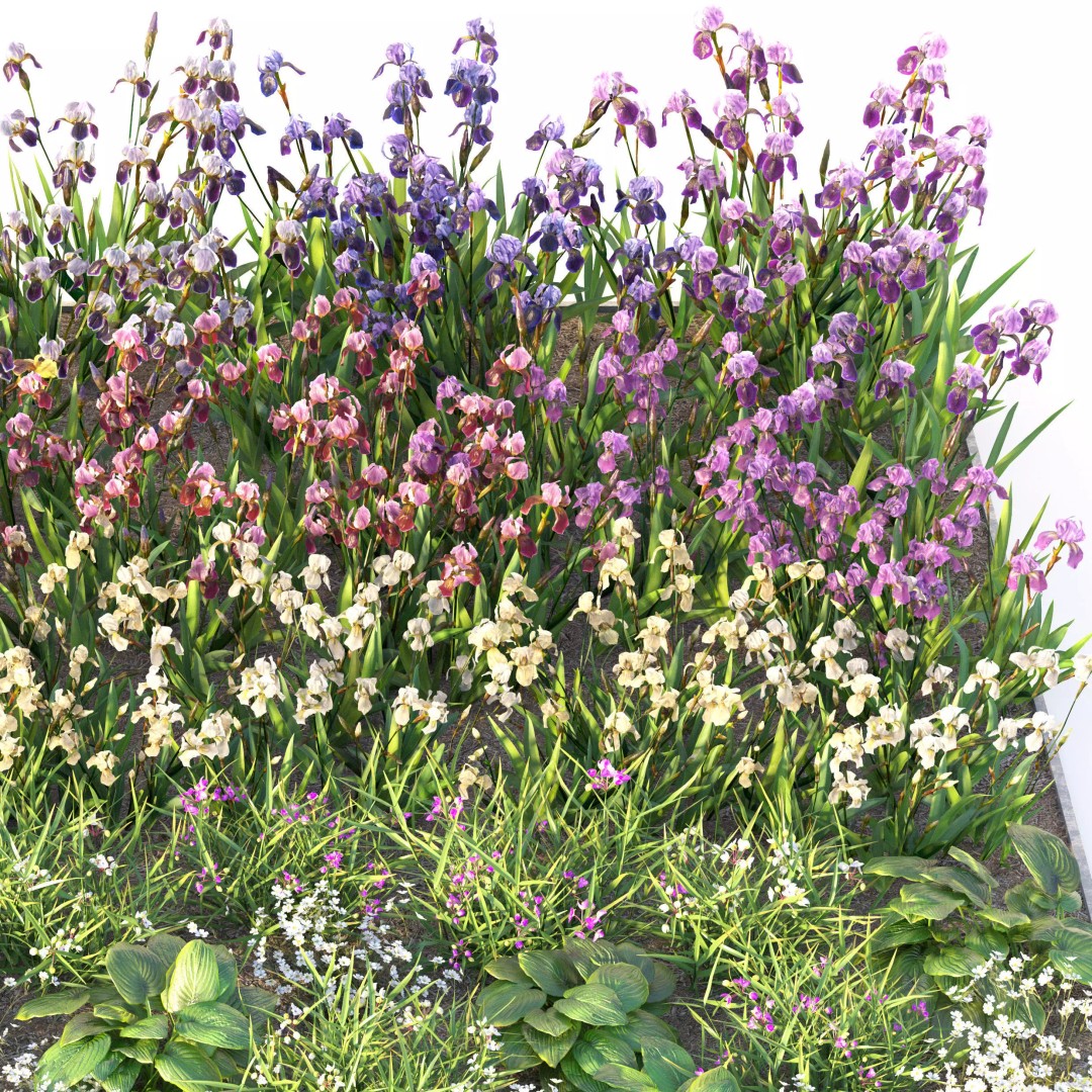 Flower Bed 3D Model – Realistic Garden Asset with PBR Textures - View 5