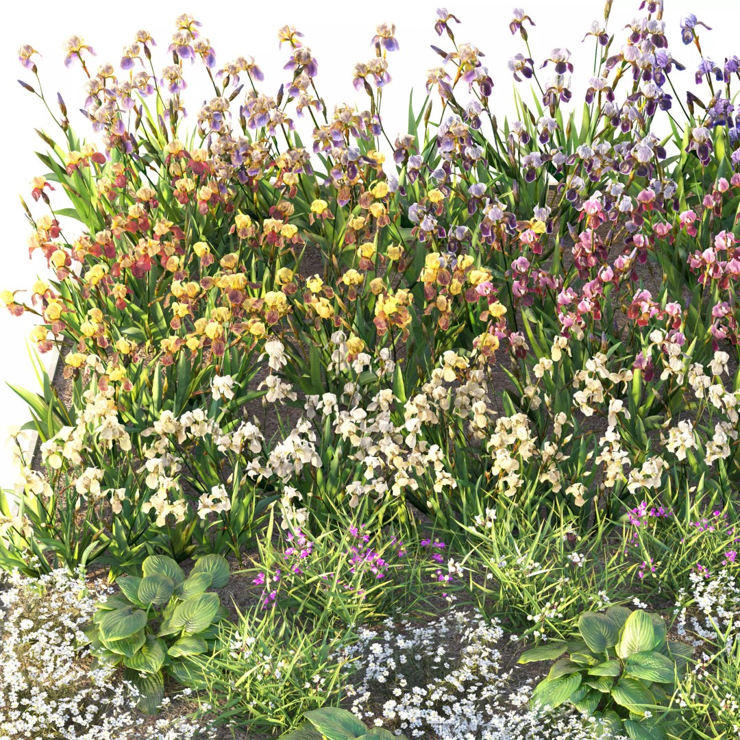 Flower Bed 3D Model – Realistic Garden Asset with PBR Textures - View 6