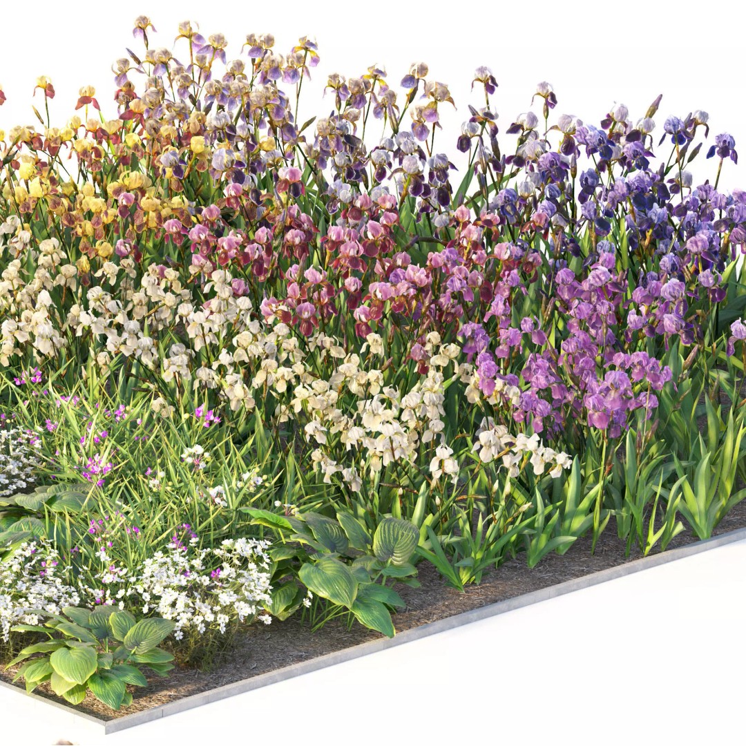 Flower Bed 3D Model – Realistic Garden Asset with PBR Textures - View 7