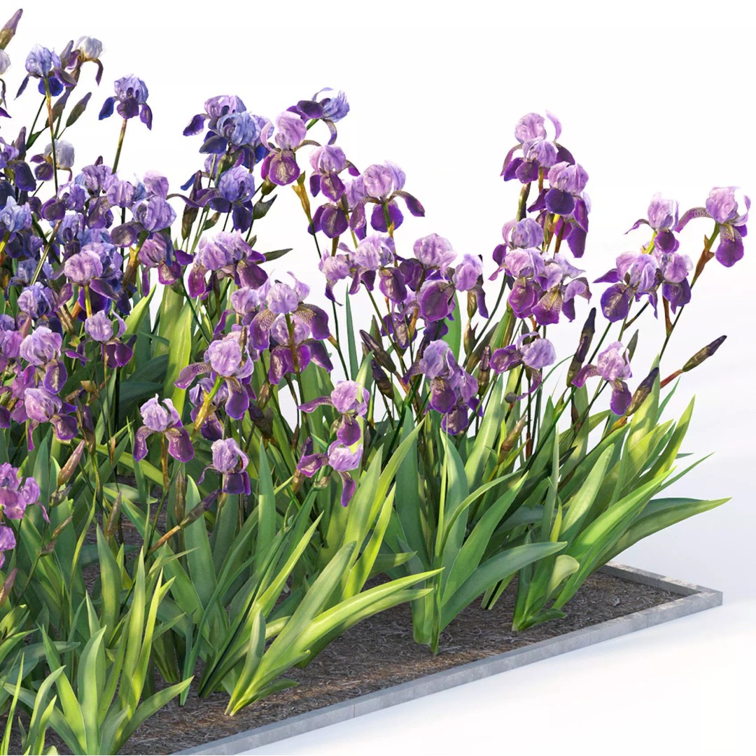 Flower Bed 3D Model – Realistic Garden Asset with PBR Textures - View 8