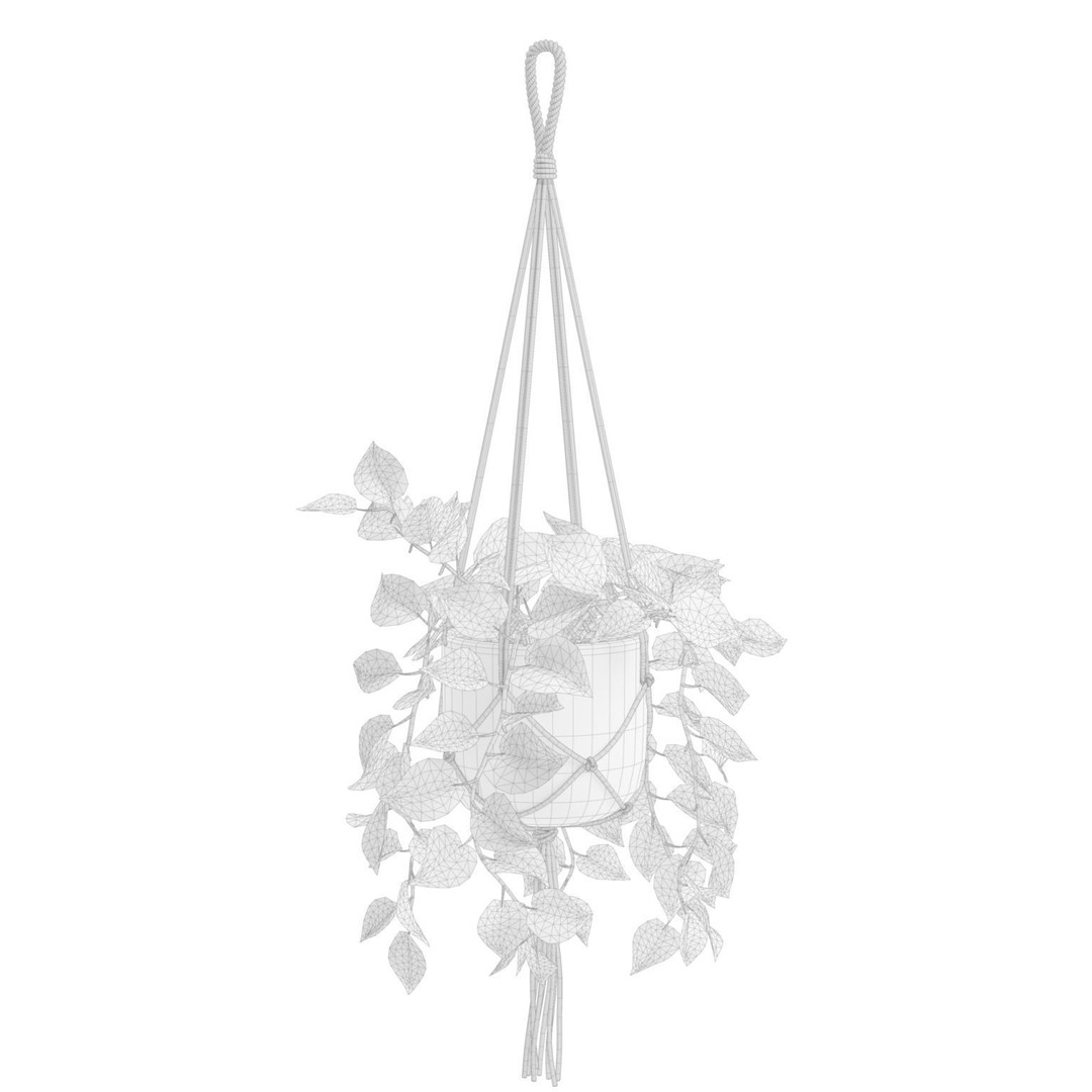 Hanging Pothos 3D Model – Realistic Plant Asset, PBR Textures, FBX - View 4