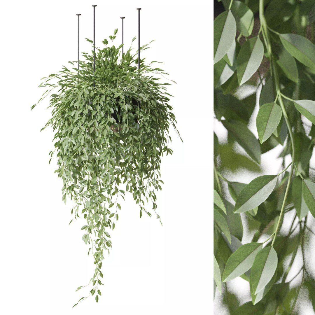 Plant 1298 3D Model – High-Quality PBR Asset for Archviz and Landscaping - View 2