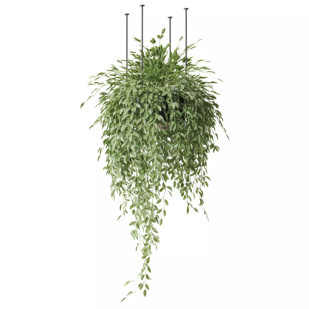 Plant 1298 3D Model – High-Quality PBR Asset for Archviz and Landscaping - View 3