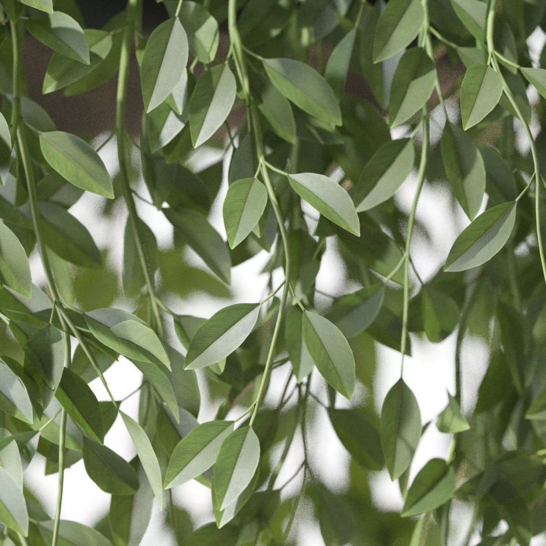 Plant 1298 3D Model – High-Quality PBR Asset for Archviz and Landscaping - View 4