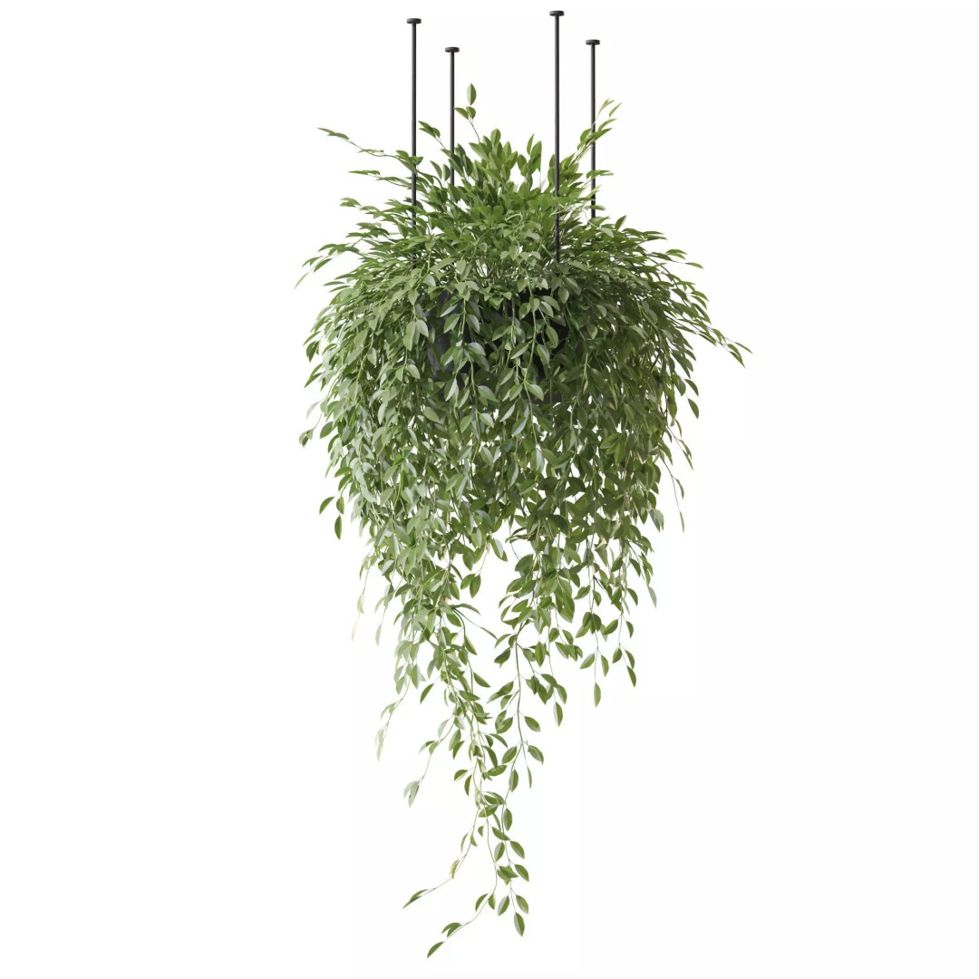 Plant 1298 3D Model – High-Quality PBR Asset for Archviz and Landscaping - View 5