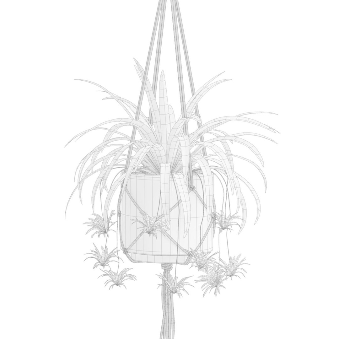 Hanging Plants 3D Model – Exotic Indoor Pot Plants, PBR Textures