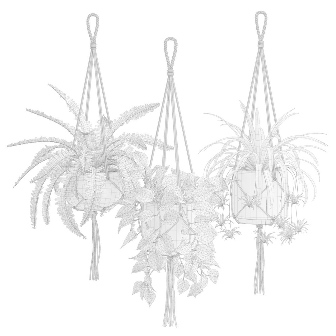 Hanging Plants 3D Model – Exotic Indoor Pot Plants, PBR Textures - View 4