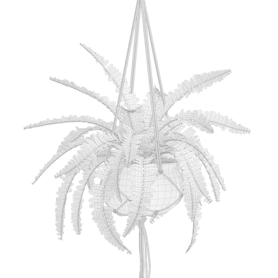 Hanging Plants 3D Model – Exotic Indoor Pot Plants, PBR Textures - View 8