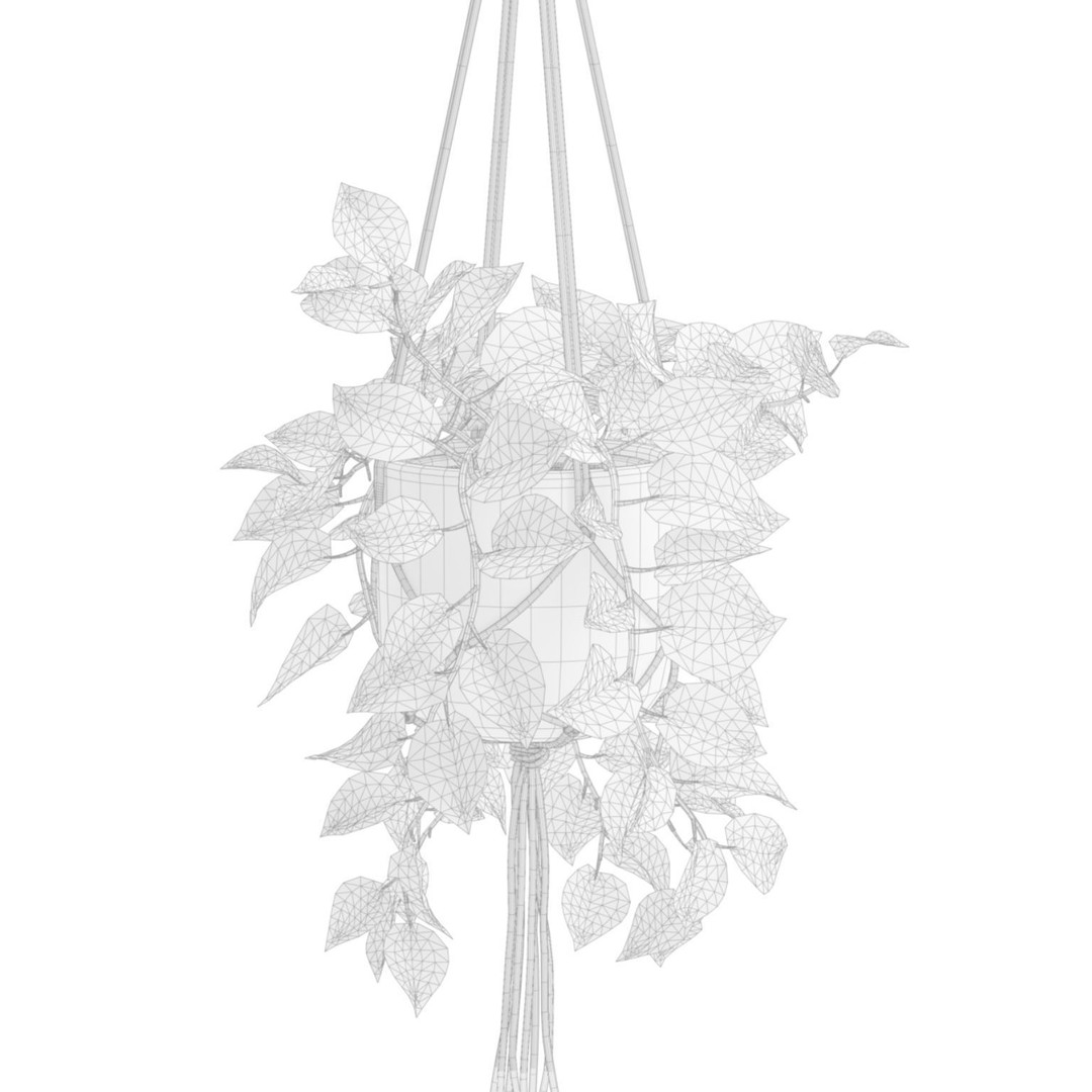 Hanging Plants 3D Model – Exotic Indoor Pot Plants, PBR Textures - View 9
