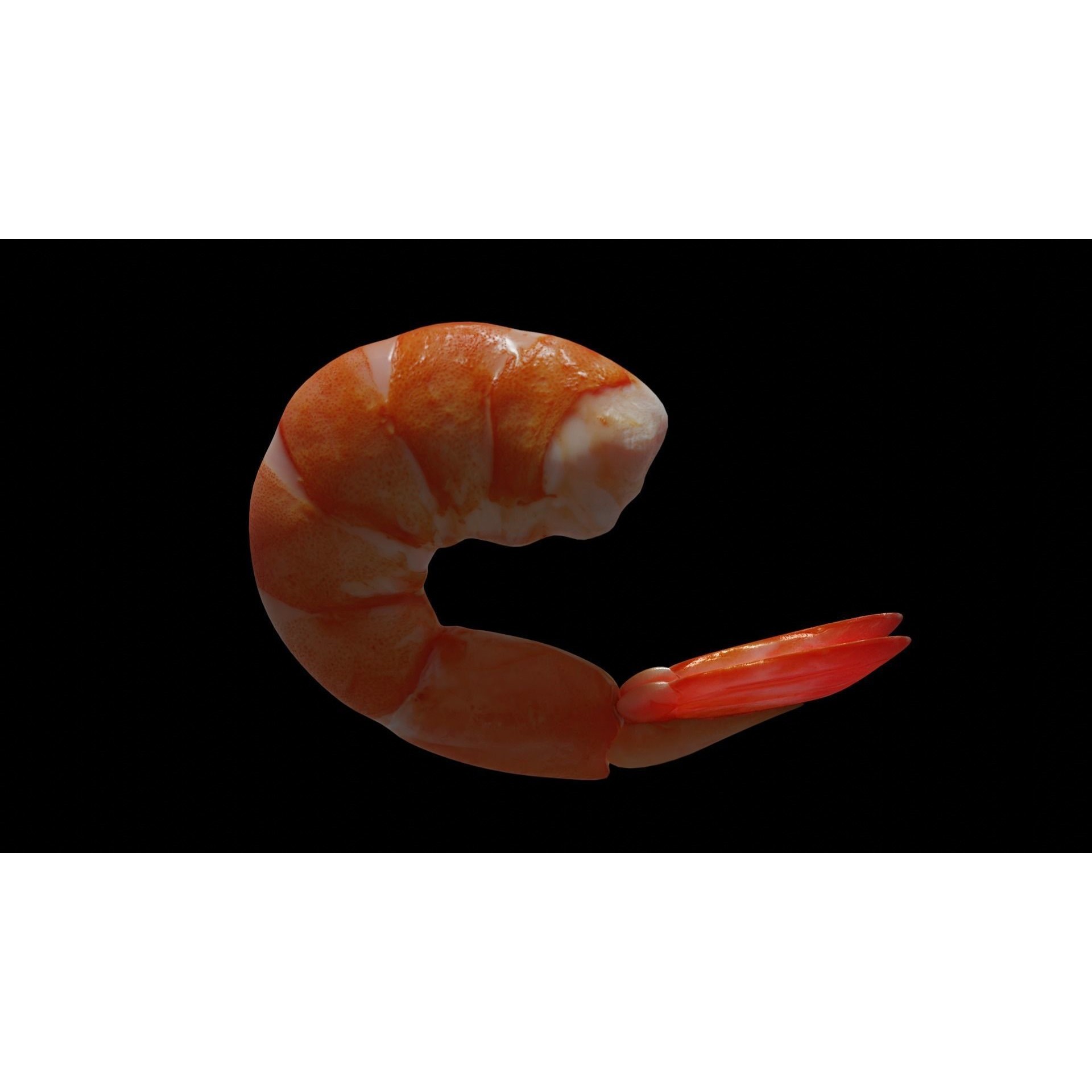 Cooked Shrimp - Low-Poly Game-Ready 3D Model - View 10