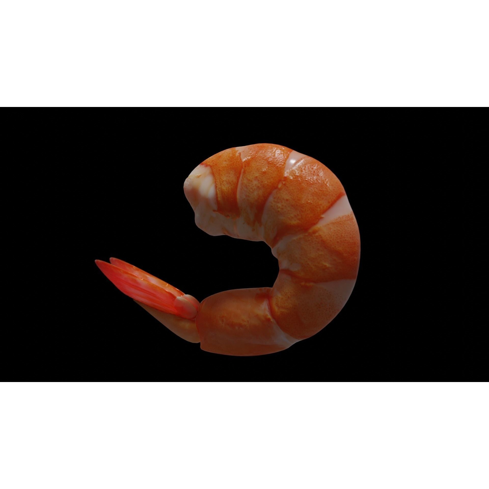 Cooked Shrimp - Low-Poly Game-Ready 3D Model - View 14