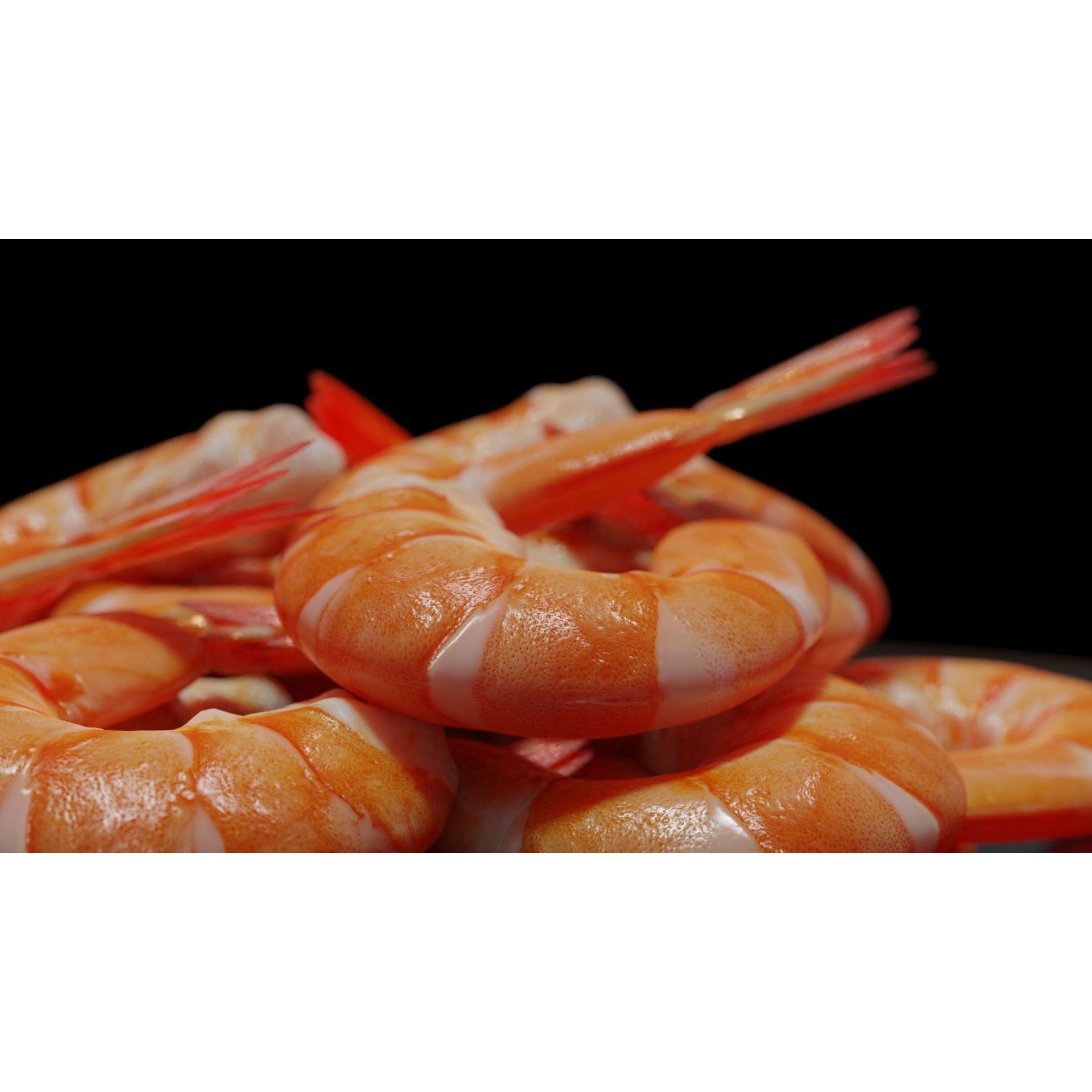 Cooked Shrimp - Low-Poly Game-Ready 3D Model - View 17