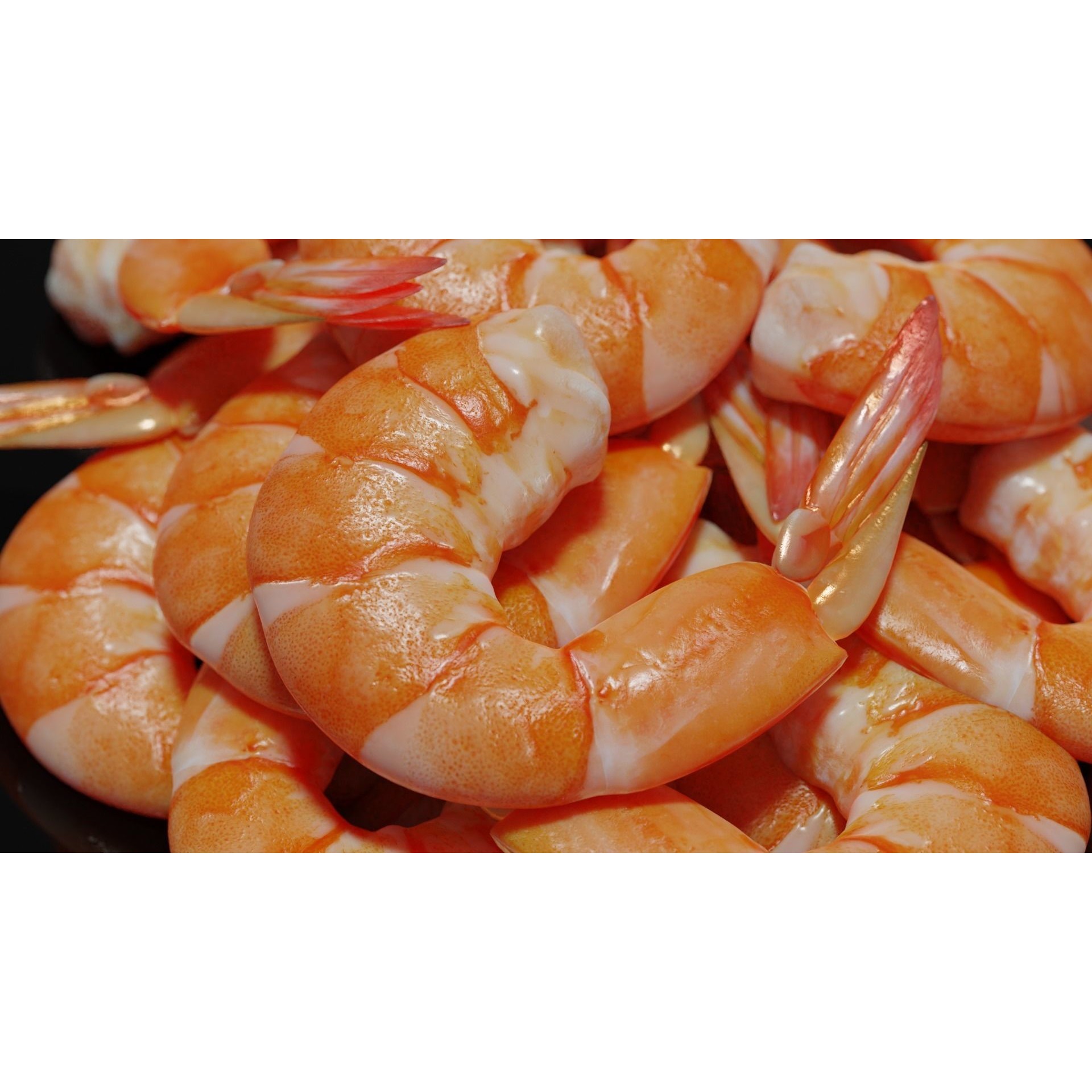 Cooked Shrimp - Low-Poly Game-Ready 3D Model - View 31