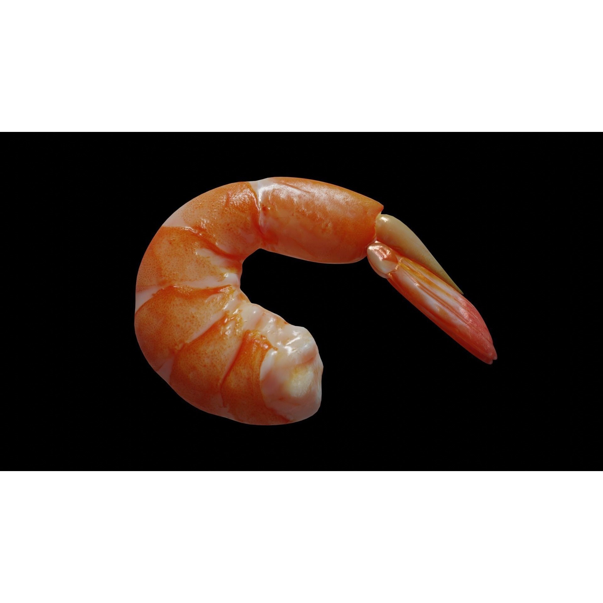Cooked Shrimp - Low-Poly Game-Ready 3D Model - View 34