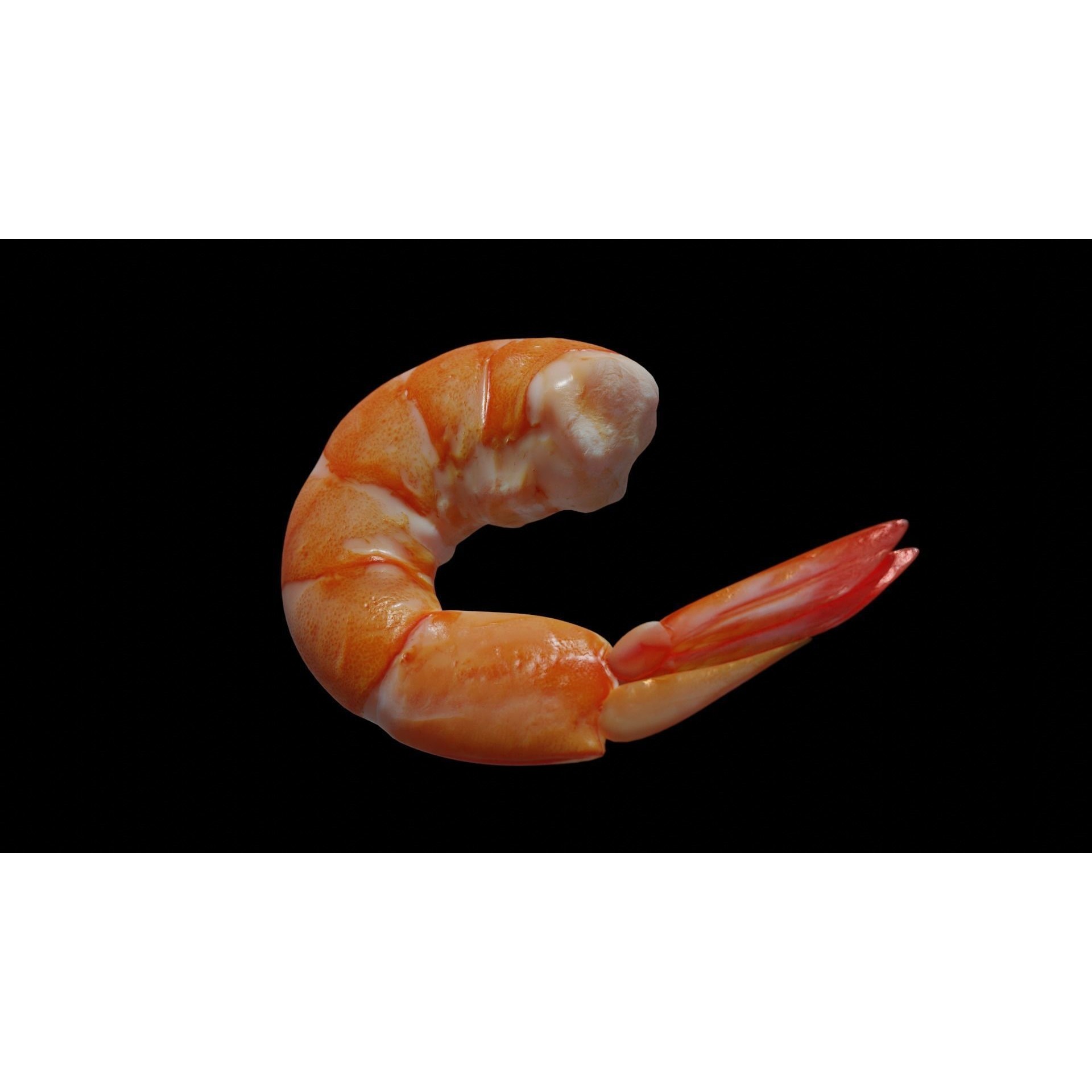 Cooked Shrimp - Low-Poly Game-Ready 3D Model - View 36