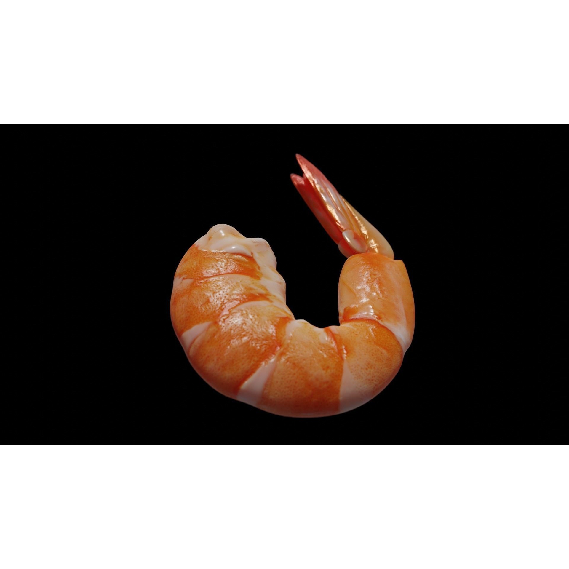 Cooked Shrimp - Low-Poly Game-Ready 3D Model - View 39