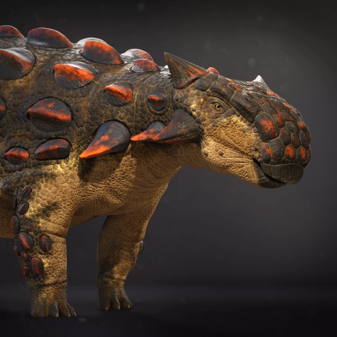 Ankylosaurus 3D Model – Low Poly Rigged Dinosaur with PBR Textures - View 2